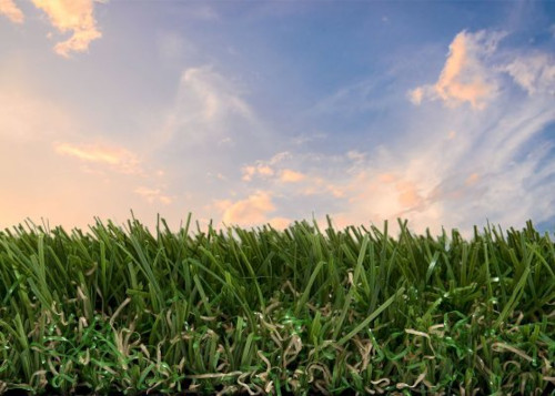 Recaro
A gyengédség és tartósság tökéletes ötvözete