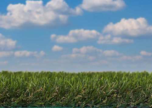 Tendence
Zöldellő álom
