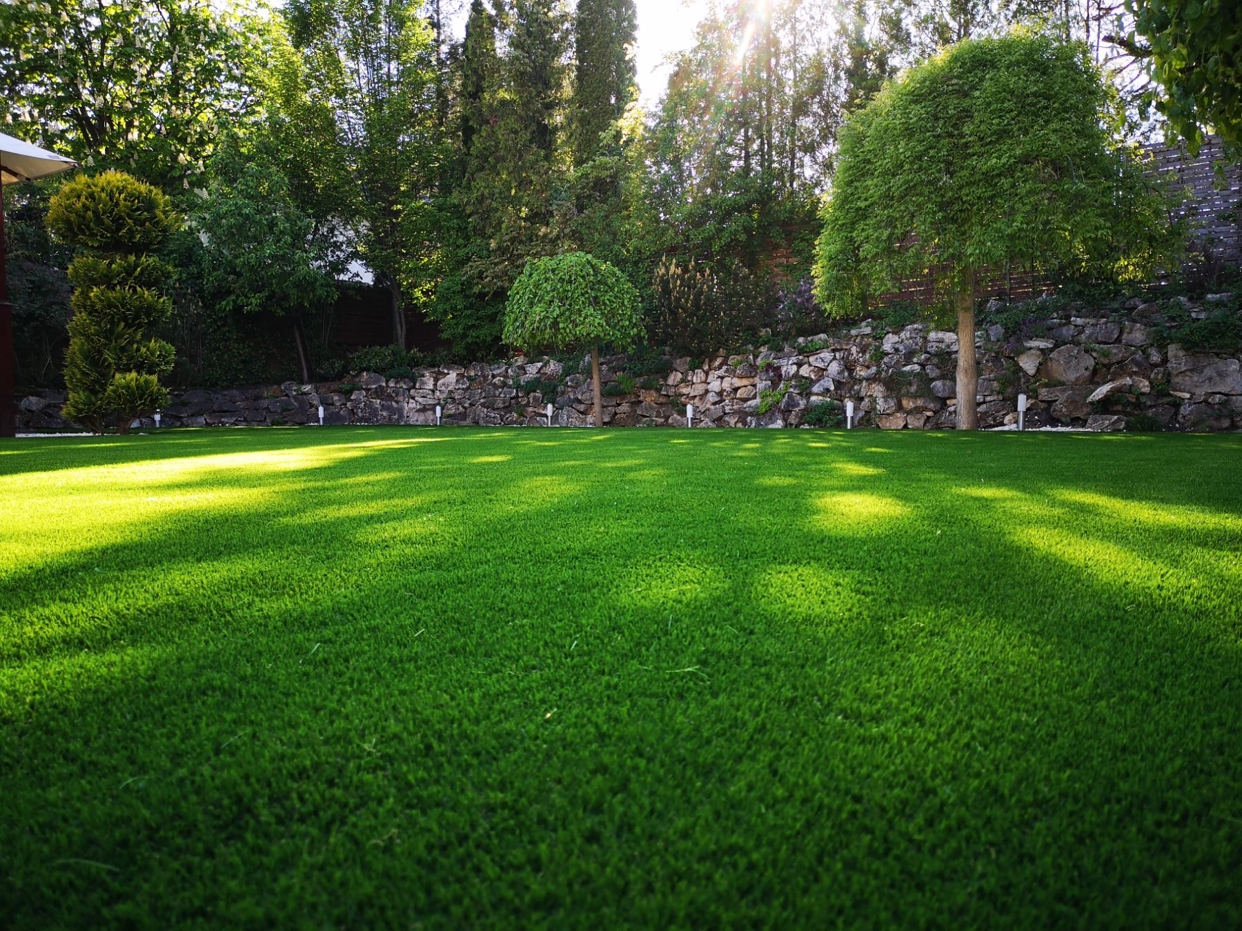 Belvedere - Holland Pázsit