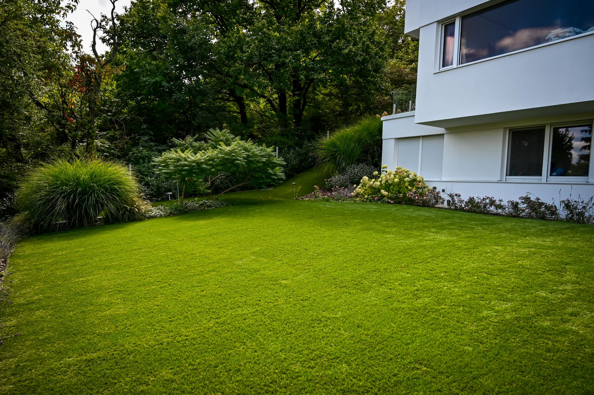 Intense 32
Visszafogott smaragd ragyogás