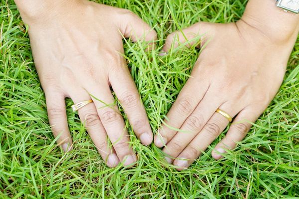 Fű telepítése: a fűmag vetési idejétől a fű ültetéséig