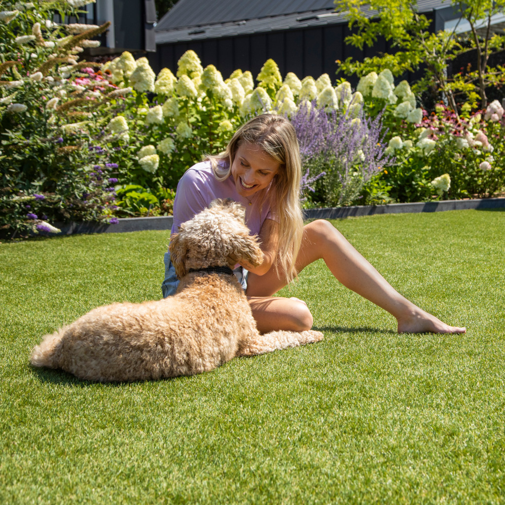 Holland Pázsit - Kutyabarát megoldás kedvencednek is.