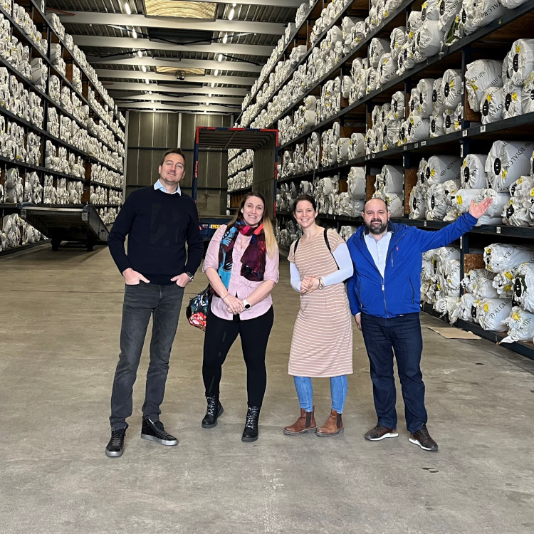 Holland Pázsit - Óriási raktárkészlet