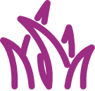 Termékek - hollandpazsit.hu