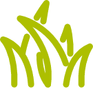 Termékek - hollandpazsit.hu